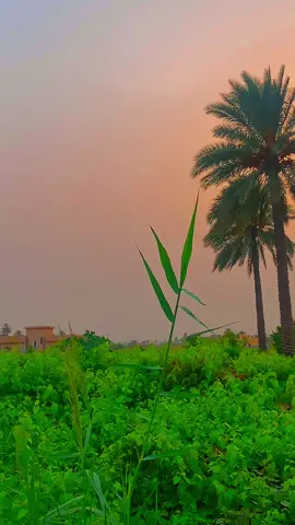 كاعد بگلبي ملك ودفعلك إيجار!!😪🚶🏻#عبارة_للفيديو #عبارة_فخمة؟🥀🖤 #قتباسات #خضير_هادي #الفديو_موجود_بقناتي_تلكرام_بلبايو🦋💘 