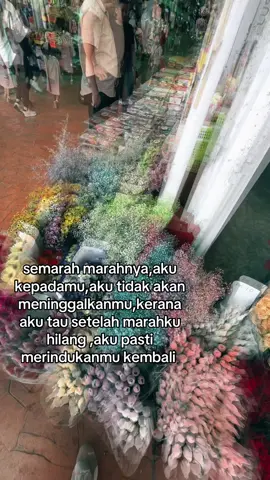 tetap pemenang.#4u #fyp #fy 