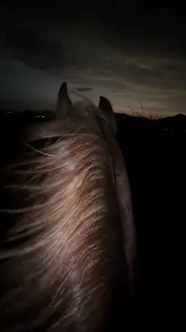 #خيل #اذكروا_الله #ماشاءالله_تبارك_الله 