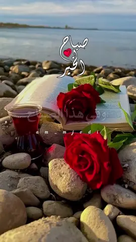 وفي هذا الصباح 🌹❤️❤️❤️🌿 #دعاء_الصباح #صباح_الخير #صلي_على_محمد #اللهم_امين_يارب_العالمين #اكسبلور ᥫ᭡ 