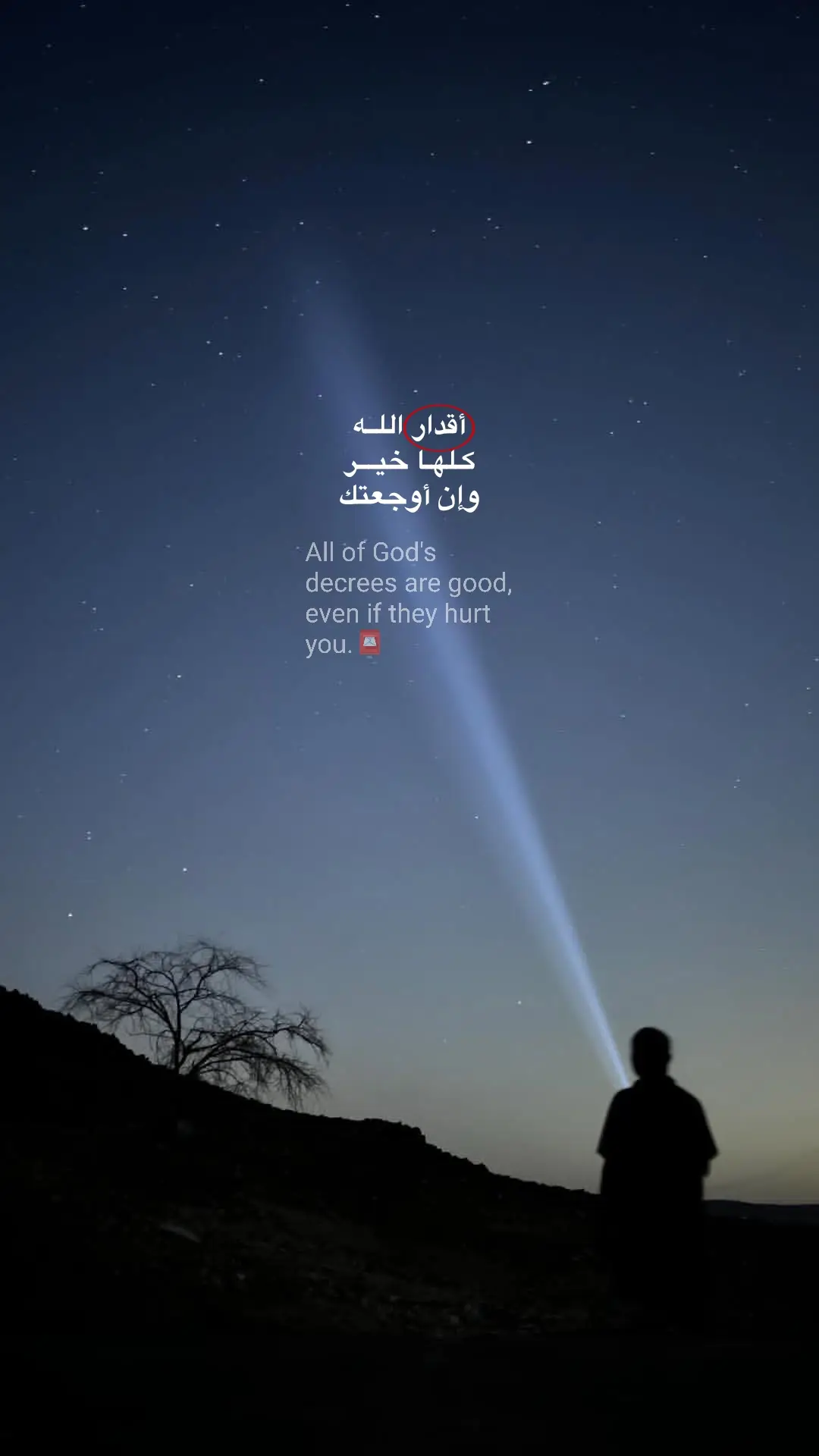 #شاهين_محمد🤍 #بلال_الجهماني  #خواطر #عبارات #اقتباسات 