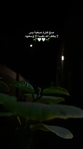 صَح فترة صَعَبة بس  لَا يكلفُ الله نفساً الا وَسَعها. 🌱🤍🤍🌱#fypシ #fyp #foryou #tiktok 