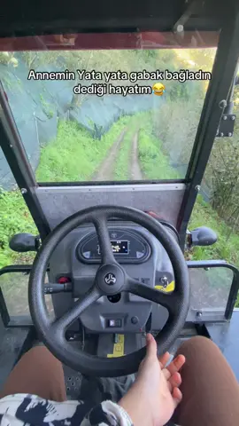 #karadenizli #fındık #bahçe #ordu52 