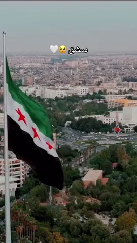 #شامية_غوطانية #دمشق #سوريا #شامية #الشام 