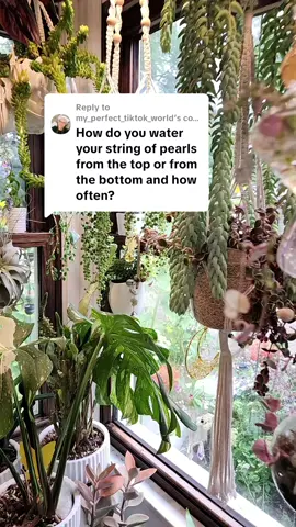 Replying to @my_perfect_tiktok_world 