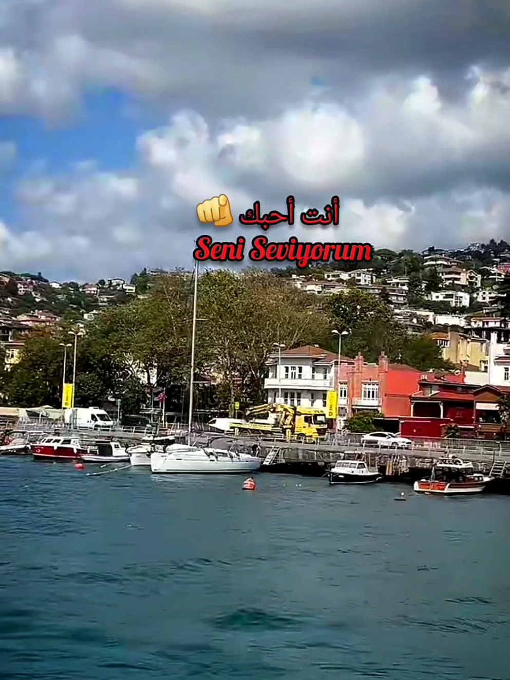 Aşkın ateşten gömlek Olsa da ❤️‍🔥🪽 #اغاني_عشق #اغاني_تركية #اكسبلور_متابعه_ولايك #popmusic #ebruyaşar 