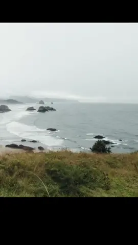 Unlock the secret to professional-looking footage with the ninja walk technique, a game changer for anyone working with gimbals! 🌟 This insightful guide reveals a unique blend of motion mechanics that guarantees smooth shots whether you’re using a smartphone or a professional camera. By mastering the art of heel-toe movement and locking your arms in place, you can create stunning visuals that elevate your videography skills. Enhance your shooting experience and learn to lean into your movements effectively for seamless transitions and dynamic angles. Perfect for content creators of all levels, this technique will add a polished touch to your projects! Don’t miss out on more tips and tricks from the pros. The right gear makes all the difference—featuring devices like the iPhone 15 Pro Max, DJI RS4 Pro, and more to ensure your shots are nothing short of cinematic! 🎥✨ #NinjaWalk #GimbalTechnique #VideographyTips #SmoothShots #Filmmaking #CameraMovement #ContentCreation #iPhoneFilmmaking #DJI #CinematicVlog #VideoProduction #CreativeFilmmaking