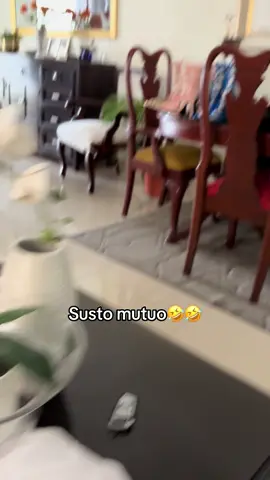 Hahahaha🤣🤣 @imparable_ruth @alcibiadesrodriguez @Ryan ✪ #elhijodepapo❤️ #humorderayner❤️😂 #herreracity🇩🇴 #contenidoo #foryoupage 