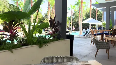 Bom dia gatas vou mostrar meu dia hoje 😍 📍Charleston  #charlestonsc #charlestonwhite #vidanoseua #charlestonfood #charleston #fy 