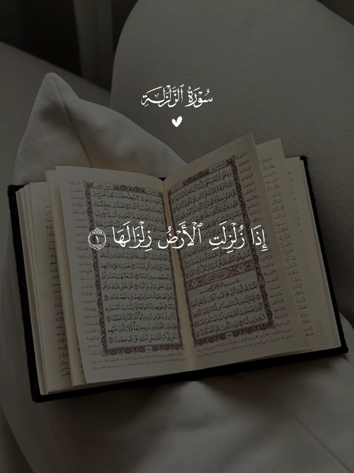 سورة الزلزلة 🤍 #قران #quran #قران_كريم #quran_alkarim #القران_الكريم 