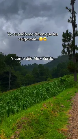#alexzurdo #humorcristiano #musicascristianas #fyppppppppppppppppppppppp 