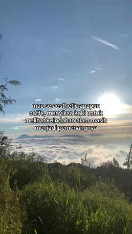 bonus di argopuro kemarin #pendakigunung #pendakiindonesia #gunung #fyp #argopuro 