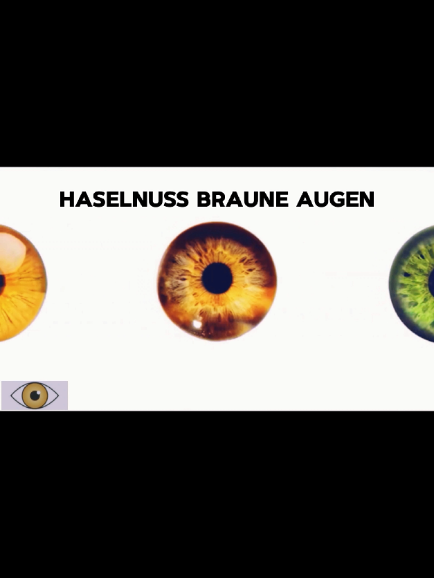 Haselnussfarbene Augen sind besonders faszinierend, weil sie je nach Licht braun, grün oder gold wirken. Doch was steckt wissenschaftlich dahinter – und welche Vorteile & Nachteile bringt diese einzigartige Augenfarbe mit sich? 👁 #augenfarbe #selteneaugenfarbe #CapCut #viraldeutsch #foryou 