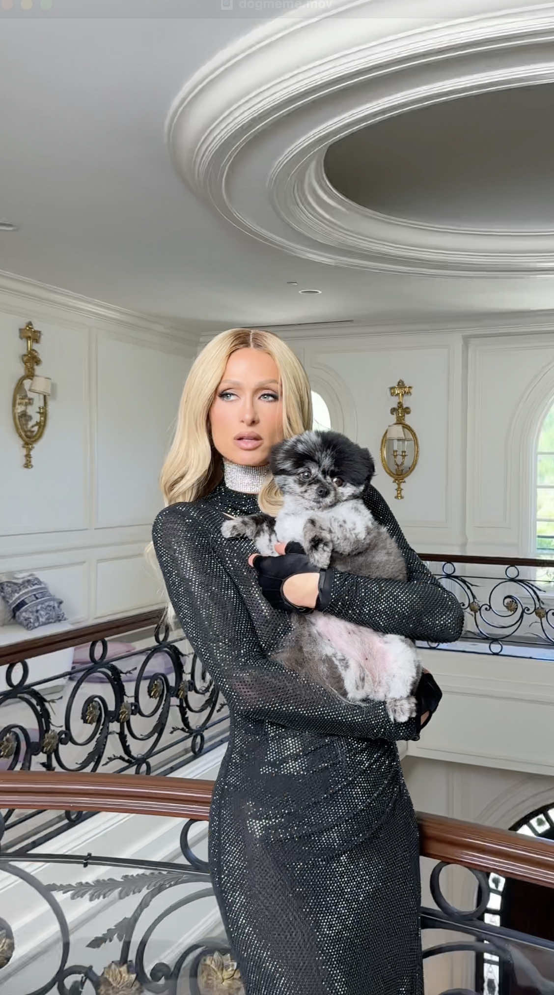 My new animated kids’ show @Paris and Pups is coming to YouTube this month- who’s excited? I know me and my #SweetieSquad are 🥰🐶💕✨  #ParisAndPups #SlivingMom 💖 #HiltonPets 