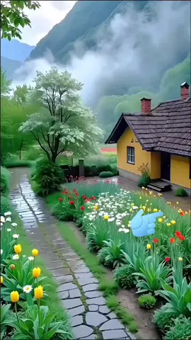 #tiktoklite #틱톡라이트 #돈버는방법 #추천 