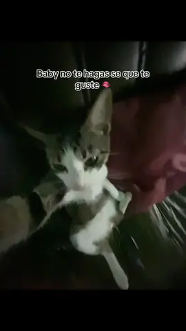 Baby no te hagas se que te guste 🫦 #gatos #Amor #fyp #Viral #paratiiiiiiiiiiiiiiiiiiiiiiiiiiiiiii 