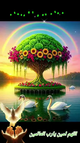 #دعاء#يوم#الاربعاء#صباحكم_معطر_بذكر_الله💚🌹🌿🌷😍🌸🙏 #صباحكم_أحلى_صباح🌹🌹 
