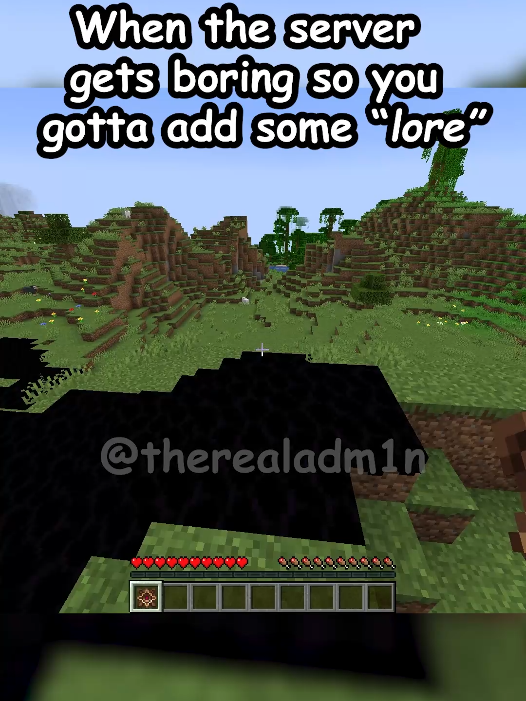 you log in to the server for the first time and this is what you see wyd? #Minecraft #mc #streamer