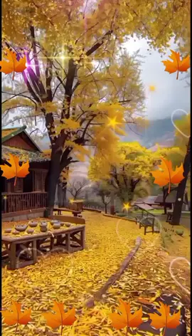 #CapCut #Қайырлы таң!Жақсыларым!🌞🥰