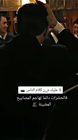 #اكسبلور #توماس_شيلبي #مشاهدات #التيك_توك #creatorsearchinsights 