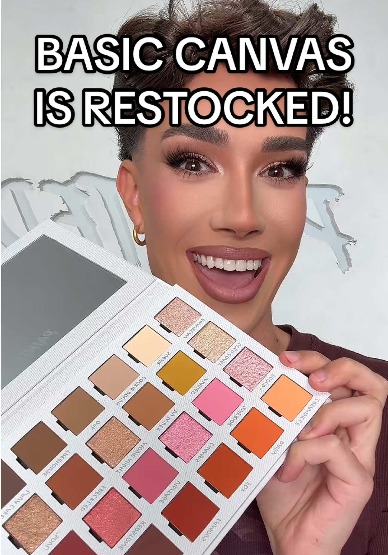 BASIC CANVAS IS BACK! 🎨 24 super pigmented matte & shimmer shades perfect for your wedding, first date, prom, quinceñera, or literally just because! Shop before it sells out again 🤎 #painted #basiccanvas #eyeshadow 