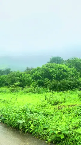 #سويسرا_الخليج #صلالة_محافظة_ظفار❤️ #صلاله_عُمان #يارب_رضاك_والجنه_وحسن_الخاتمه 