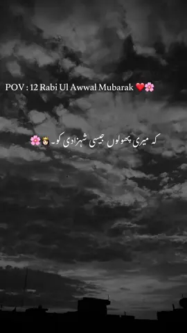 Mention kro apni shehzadi ko 🥰❤️🦋….. #1millionaudition #foryou #poetry #viralvideos #foryoupagе 