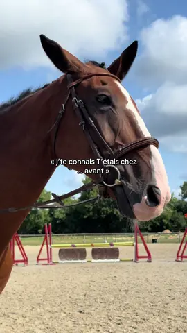 Sombre époque #horse #cavalier #pourtoii #equitation #cheval 