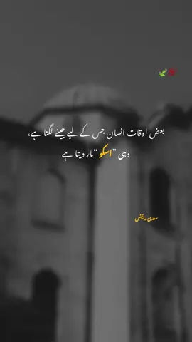 سبق تھا زدگی کا  مجھے لگا محبت ہے 🫠 #foryoupageofficiall #shayri #poetry #Sعdiرائیٹس #unfrezzmyaccount 