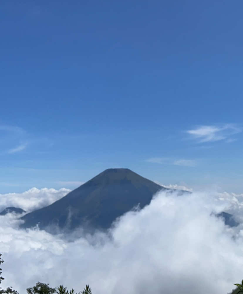 Ngliatin lautan awan dan gn sindoro #fyp #mountain #fy 