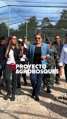 Este megavivero en Guaimaca es semilla de esperanza: reforestamos, apoyamos a nuestros cafetaleros y construimos un futuro más justo y próspero para Honduras. #XiomaraCumple #LaRefundaciónSeVé