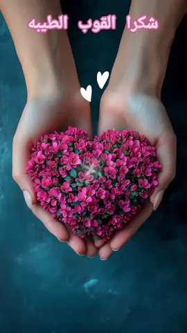 #CapCut شكرا للقلوب الطيبه#CapCut #🕊🕊🕊🕊🍀🌿🌸🌺🤍💝🌹🎀🌺🌸🌸🌸🕊🕊🕊🕊 