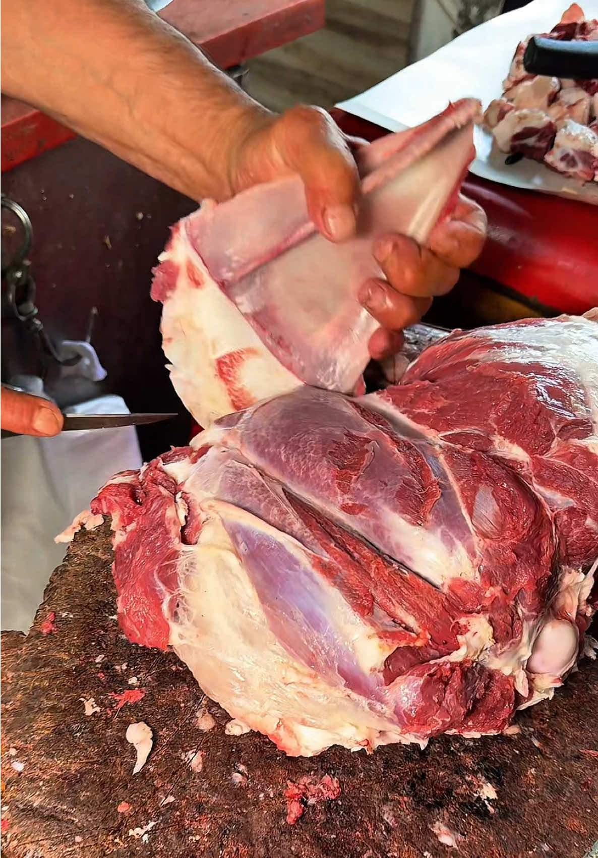 Kürek Kemiğini Çıkarmak Marifet İster !  Karaisalı Adana 