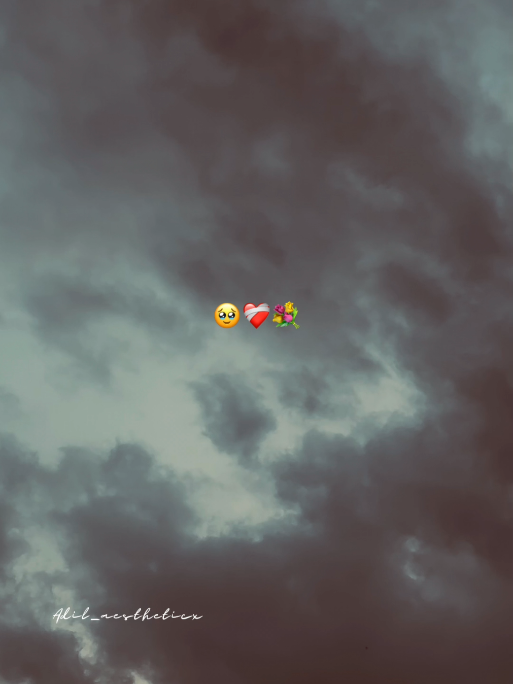 Mera pass Tum ho.! 🥹❤️‍🩹🕊️ #hehe_adil #foryou #foryoupagе #aestheticvideos #adilaestheticx 