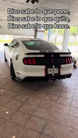 #fypシ゚ #fyp #mustang 