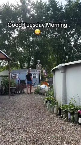 @alisonmary1973 #fyp 