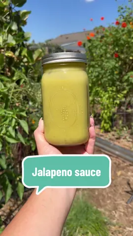Green jalapeno sauce 🌶️ Recipe on my substack  Ingredients: * 4 oz jalapeño peppers, chopped and de-seeded * 4 tsp olive oil * 4 cloves garlic, chopped * 1 cup white vinegar (or swap in apple cider, rice, or any vinegar you love. I like white vinegar because it lets the jalapeños shine.) * 4 tsp sugar * 1 tsp kosher salt Instructions: 1. Prep the peppers. Wash the jalapeños, de-seed them, and roughly chop them. Make sure to wear gloves! Especially if you wear contacts— unfortunately, I learned this the hard way. 2. Cook the peppers. In a skillet, heat olive oil over medium-low. Add the jalapeños, cover, and cook for 10 minutes. 3. Add the garlic. Once added, cook for another 3-4 minutes until fragrant. Do not let it burn. 4. Add in the rest of the ingredients. Add vinegar, salt, and sugar. Cover again, and cook on medium-low for another 10 minutes. 5. Blend it smooth. Turn off heat and let cool. Then, transfer everything into a blender. Blend until completely smooth and bright green. If you want a thinner sauce, add a splash more vinegar or even water. 6. Taste + adjust. This recipe is designed to be flexible—taste it and adjust salt, sugar, or vinegar as needed. 7. Store. Pour into a clean glass jar or bottle. Refrigerate and enjoy for up to 6 months. #gardentok #FoodTok #gardentotable #gardening #growyourownfood 