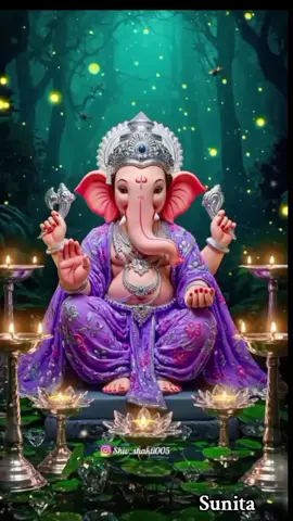 #Sunitasingh🦋🦋 