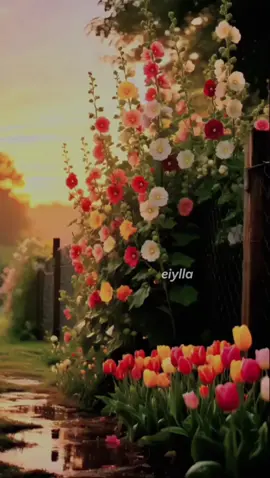 #CapCut #selamatpagi #doahariini #rabu #selawatnabi 