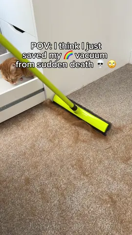 I vacuumed 2 days ago… 🙄😒 #pethairremoval #CleanTok #pets #cat #cleaninghacks 