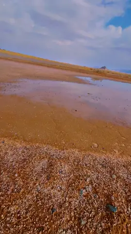 الشاعر عوض مطني                                                     #شمري 