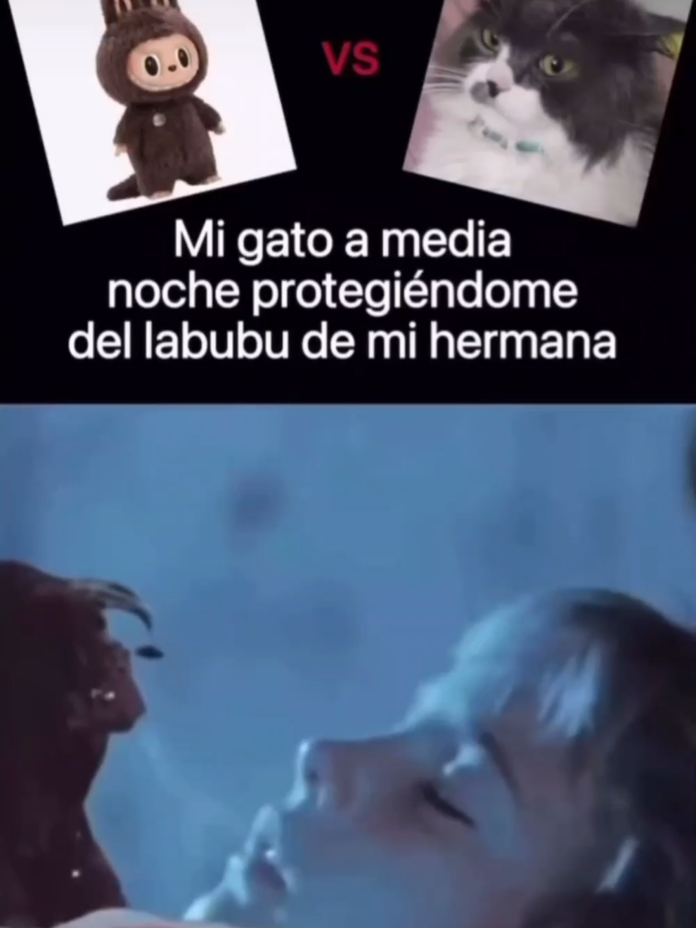 Mi gato a media noche protegiéndome del labubu de mi hermana#fyp #parati #viral #gato #meme #fypagee #xd #labubu #fypagee #foryou #viral #trending #tiktok #funny #memes #humor #comedy #relatable #cute #pets #animals #Love #happy #family #friends #Lifestyle #music #dance