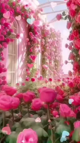 صباح الخير 🌹صباح الورد 🌷صباحكم ورد وياسمين 🌸صباح الجوري 🌺 صباحكم احلى صباح💋 يسعدلي صباحكم 💐 اسعد الله جميع اوقاتكم ❤️😘💗😍💓🥰💖💞🎶🤗💝  #صباح_الخير 💋😘🤗🌸🌺  #صباحكم_أحلى_صباح ❤️💐😚  #صباح_الورد 💞🌷🌹❤️‍🔥💕🌼  #اسعد_الله_جميع_اوقاتكم🌹🌹   #اكسبلوررررر 🌟💓💫💗✨💯💖🥰💞🌺🌷🌹❤️‍🔥💕🌼❤️🌸🤗