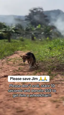 I'm calling for you dear loving helping hand to save a life today.. kindly donate any little you can even if it's $10,$20,$30,$50,&100,$200can really help