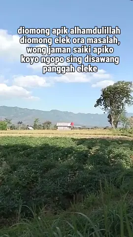 #Meme #MemeCut #CapCut 