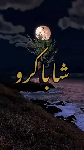 Chabakrou - Hamid El Kassri  #ݣناوة #gnawa #gnaoua #lilagnawa #عشاق_مقاطع_كناوة🙏🥁🎙🎸🎼 