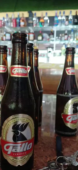 #fypシ゚ #viraltiktok #chiquimula🇬🇹👊😎 #cervezagallo #fypシ゚viral🖤video 