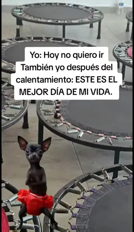Dándolo todo y según yo no quería venir 🤭🔥 #Jumping #JumpingFitness #Cardio #fyp #fitandchicjumping 
