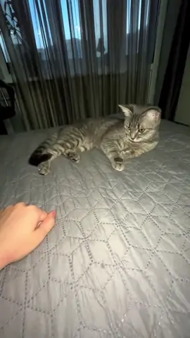 #viral #fyp #for #foryoupage❤️❤️ #tik_tok 