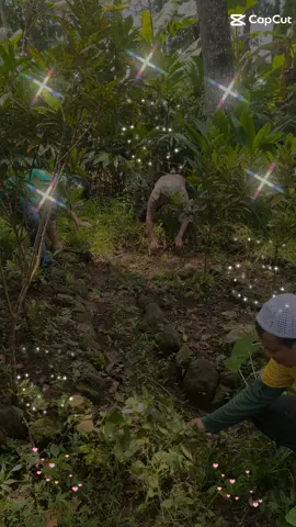 Jadilah Anak yg Berbakti 